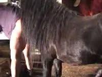 Gay beastiality lover having horse anal sex